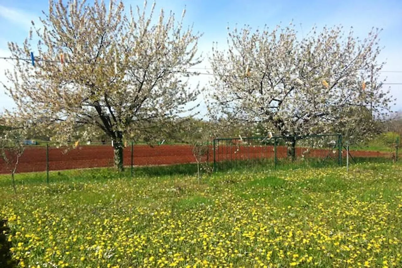 Modern Apartment In Zambratija 90 M² 0*, Zambratija (Istria) Croatia